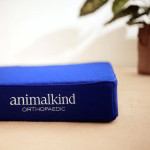 Animalkind 專業護脊寵物床 (寶藍色) M/L